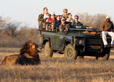 پارک ملی کروگر در آفریقای جنوبی؛ تجربه ای زنده از حیات وحش